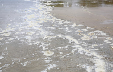 Sea wave with a dirty foam on sand beach.