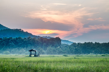 Fototapeta premium silhouette of old house in a field