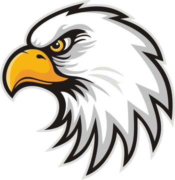 Eagle head logo for t-shirt, Hawk mascot Sport wear typography emblem graphic, athletic apparel stamp.