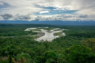 Fototapeta na wymiar Selva amazónica