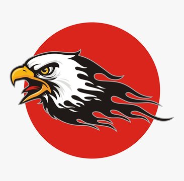 Eagle head logo for t-shirt, Hawk mascot Sport wear typography emblem graphic, athletic apparel stamp