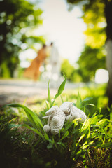 Little shoes for the baby on the way