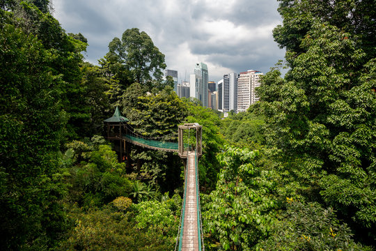 Kuala Lumpur forest eco park