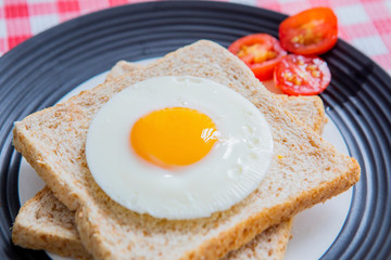 Fried egg and whole grain toast with sliced tomato