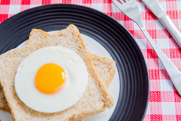 Fried egg and whole grain toasts served on table