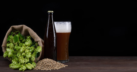 Craft beer with fresh green of hops and with wheat on dark wooden table. Empty space for text. Black background