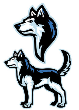 Siberian Husky Dog Mascot Set