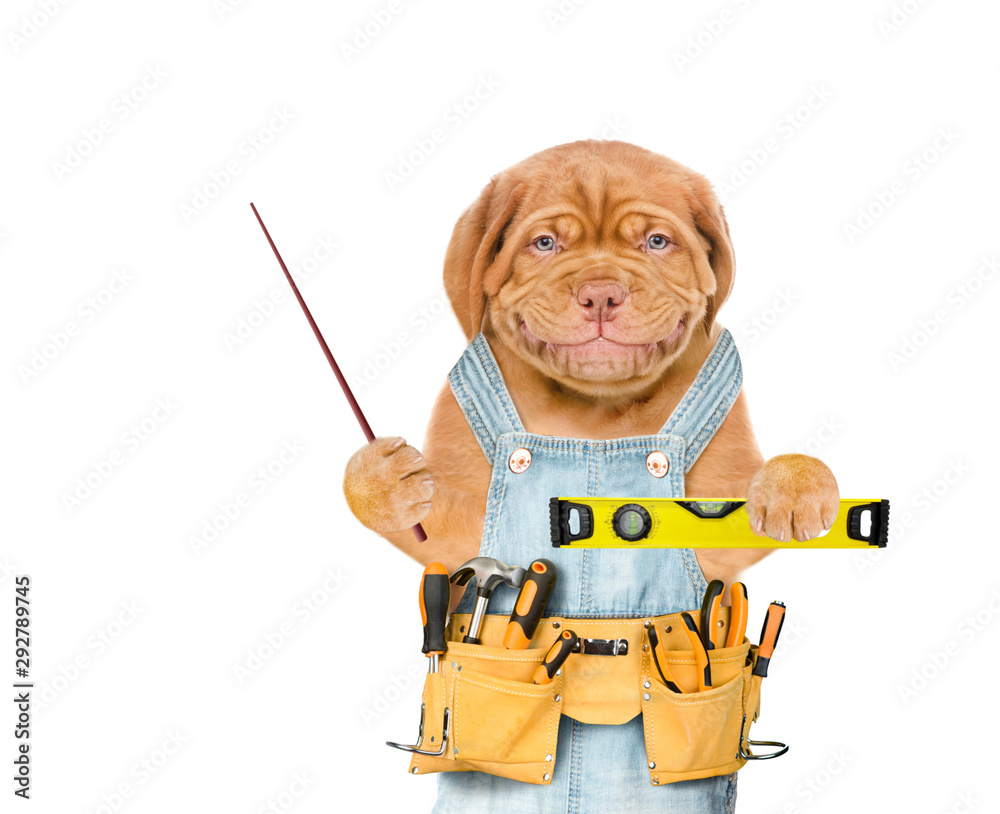 Aufkleber Smiling puppy worker  with tool belt holding spirit level and pointing away on empty space.  Isolated on white background
