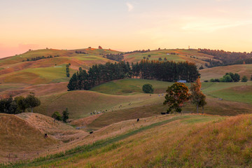 Fototapeta premium Te Miro area at sunset, New Zealand