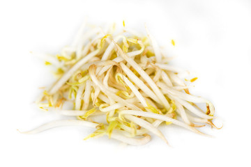 Close up Organic mung bean sprout for food - Bean Sprouts on White Background