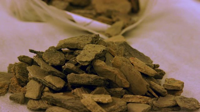 Archaeology Pottery Sherds Shards in a Pile - Science Lab Close Up