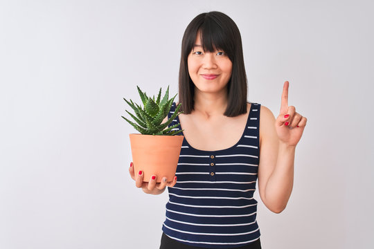 Young beautiful Chinese woman holding cactus pot over isolated white background surprised with an idea or question pointing finger with happy face, number one
