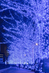 Shibuya Blue Cave winter illumination festival, beautiful view, popular tourist attractions, travel destinations for holiday, famous romantic light up events in Tokyo city, Japan