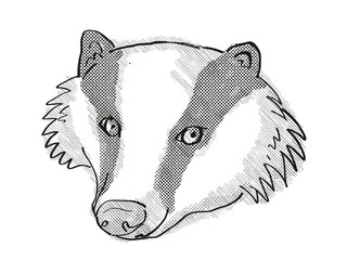 Eurasian Badger Cartoon Retro Drawing © Redwater Vectors