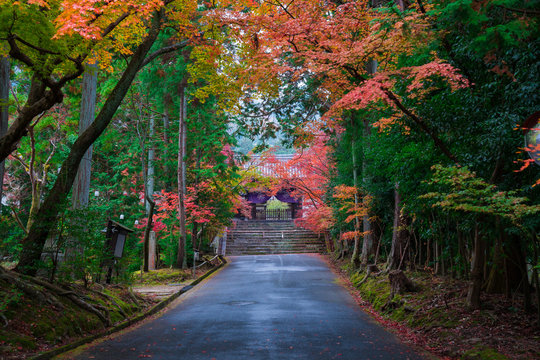68 Best 曼殊院 Images Stock Photos Vectors Adobe Stock 68 Best 曼殊院 Images Stock Photos Vectors Adobe Stock
