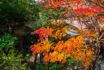 京都　南禅寺の紅葉　水路閣