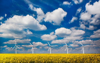 Wind turbines in a field under blue skies