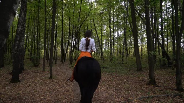 Girl in a white shirt riding a horse in the forest. Autumn weather and nature around.