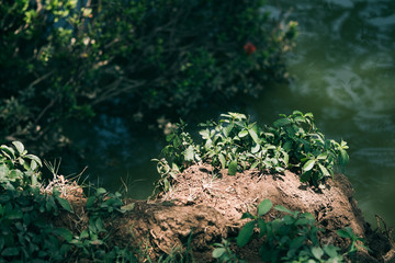 Natural scenery mountains and forests