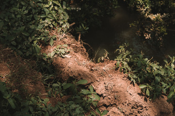 Natural scenery mountains and forests