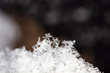 winter photo of snowflakes in the snow