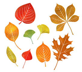 Obraz premium 秋 紅葉アイコン（水彩色鉛筆）