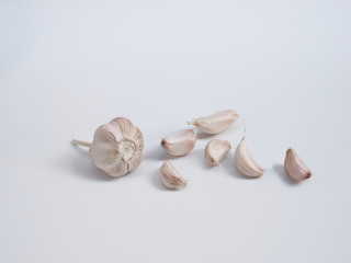 view of Garlic (Allium sativum) isolated on white background.