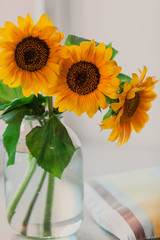 Bouquet of yellow sunflowers is on  windowsill