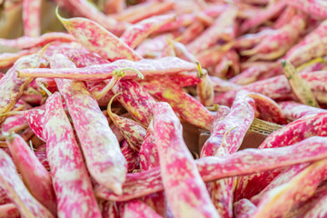 Pile of red romano beans (italian pole beans), being sold at a farmer's market. Red and white texture on the bean pods are showing.