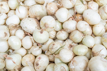 Close up of a large pile of many small white onions, harvested and cured, being sold in a farmer's market.