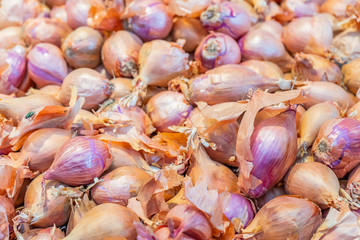 Close up of a pile of small, purple shallots being  sold at a farmer's market. Skin is dry and peeling but these scalions are fresh.