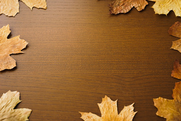 Dried dry maple leaves on wooden background. Autumn background, fall, thanksgiving day concept. Flat lay, top view with copy space.