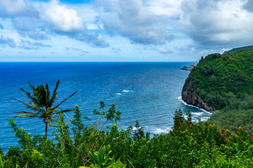 Pololu Valley