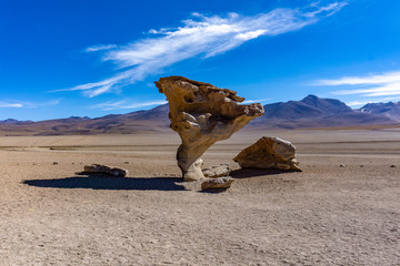 Bolivan Desert Salvador Dali Rock