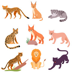 Set of different wild cats. Vector illustration on a white background.