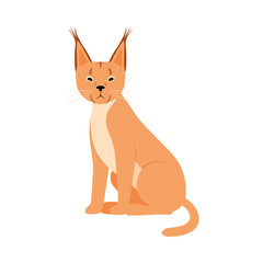 Orange Lynx. Vector illustration on a white background.
