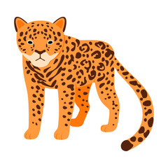 Spotted Leopard. Vector illustration on a white background.