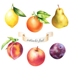 Set of hand drawn orange, lemon, peach, plum, pear and apple with leaves. Isolated watercolor illustration of fruit.