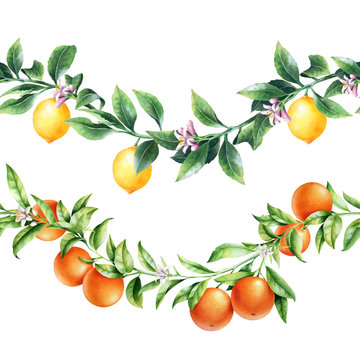 Orange and lemon tree branches borders. Isolated garland with citrus fruit. Package design.