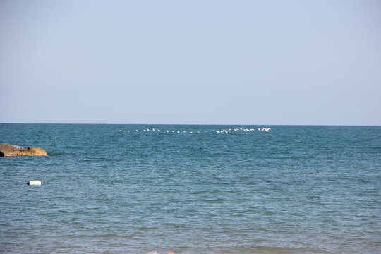 Mare con gabbiani in volo a Porto San Giorgio