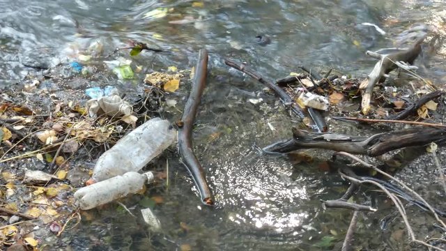 Empty plastic bottles in small river. Environmental pollution concept. Water flow among dirt, old papers and flasks. Panoramic view.