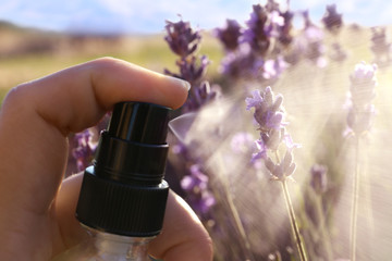 Woman spraying facial toner with lavender essential oil out of bottle in blooming field, closeup