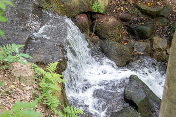 Mountain stream