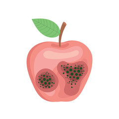 Spoiled rotten Apple with mold. Vector image on white background