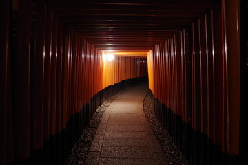 Fototapeta premium 異世界 伏見稲荷大社 夜 ミステリアスナイト Another World Fushimi Inari Taisha Night Mysterious Night
