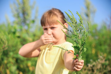 Little girl with ragweed branch suffering from allergy outdoors, focus on hand