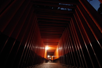 異世界 伏見稲荷大社 夜 ミステリアスナイト Another World Fushimi Inari Taisha Night Mysterious Night