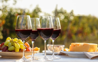 Red wine and snacks served for picnic on white wooden table outdoors