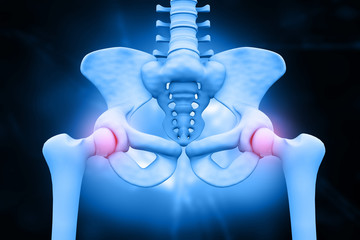 3d illustration of hip skeleton. Pelvis pain..