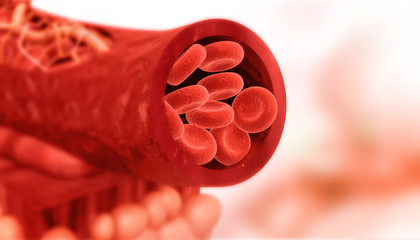 Blood cells in artery. 3d illustration